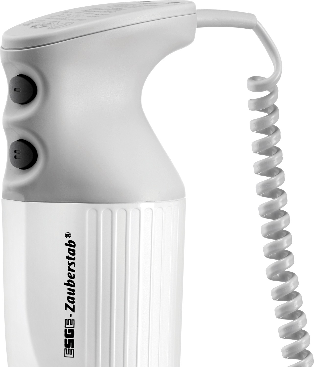  ESGE Hand Blender P 200 Profi 
