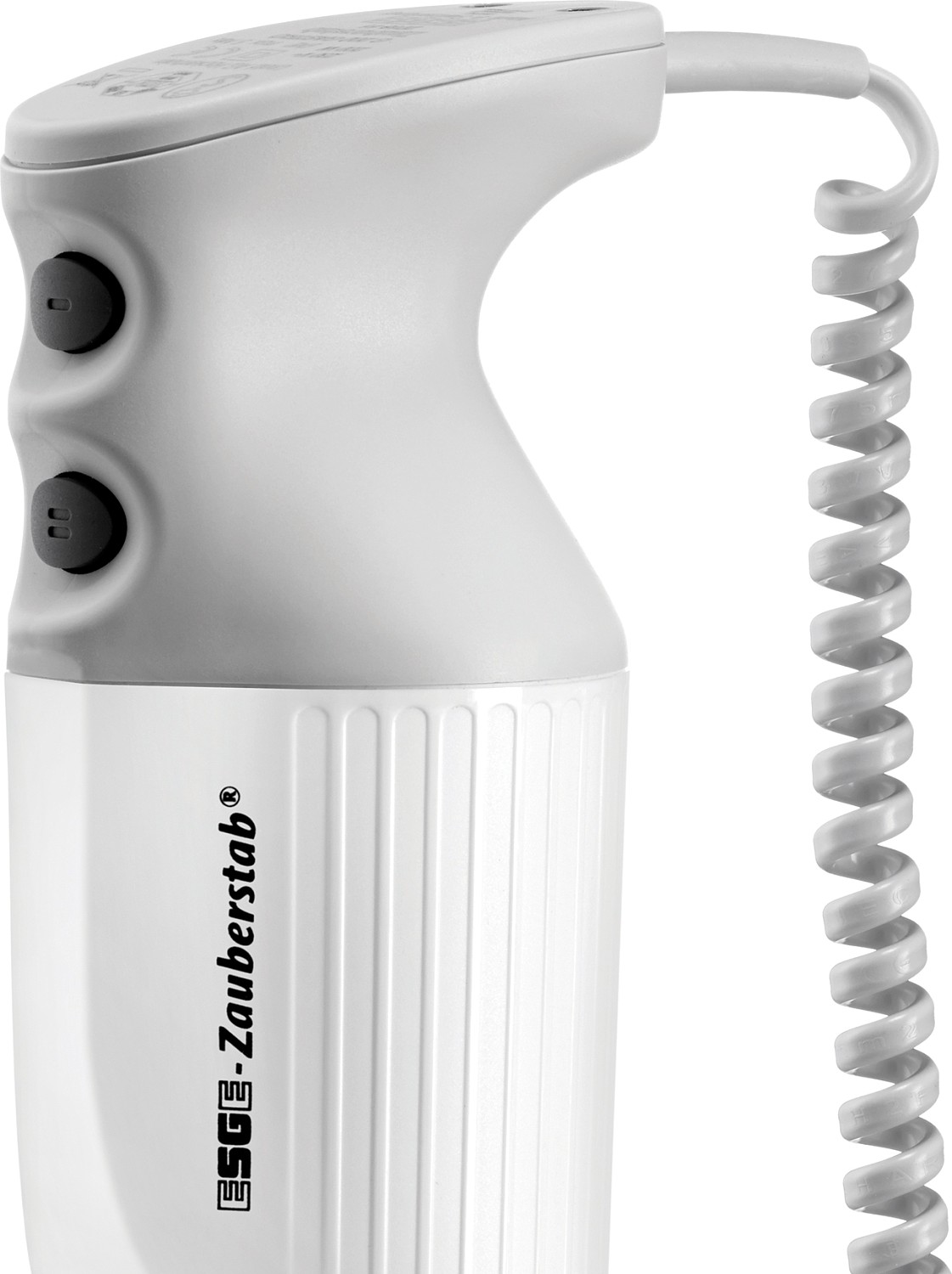 ESGE Hand Blender P 350 Profi